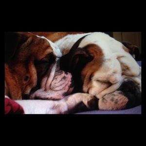 Meet your Posher, Chip